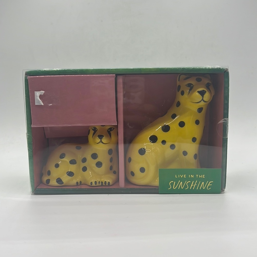 Paper Destiny Salt and Pepper Shakers
